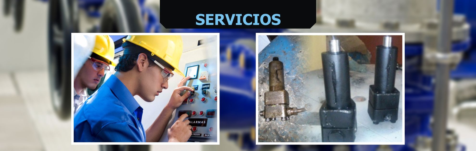 Servicios